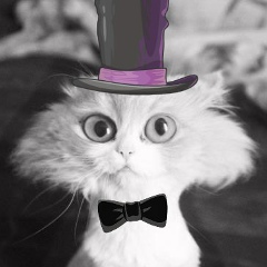 Арман Темишпаев, 21.12