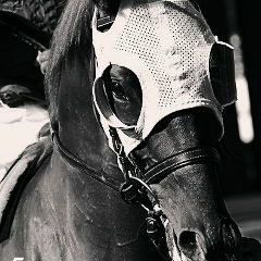 Ержигит Ерикулы, 06.10.1993, Тараз