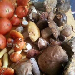 Владимир Серебренников, 23.06, Санкт-Петербург