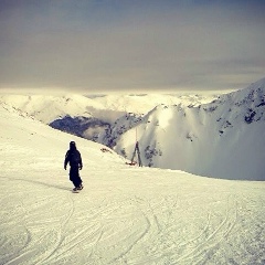 Александр Алексеевич, 23.05, Краснодар