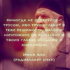 Ибрагим Алиев, 25.08, Аллерой