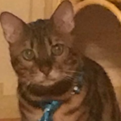 Никита Овсянников, 10.06.1990, Москва