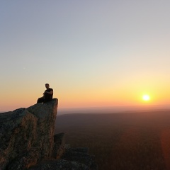 Николай Созонов, Гайны