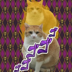 Денис Цветков, 19.05, Солнечногорск