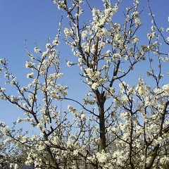 Татьяна Хмиленко, 07.09, Днепр (Днепропетровск)