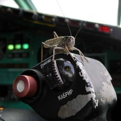 Илья Кузнецов, Москва