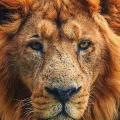 Фарход Абдуллоев, 22.09