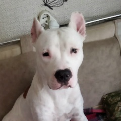 Олег Назариков, Bucaramanga