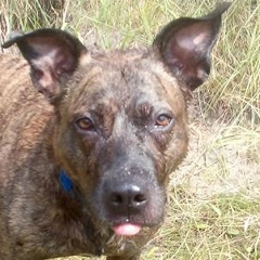 Геробачка , 09.05.2000, Киев