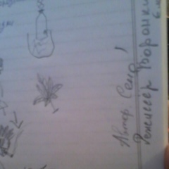 Арсений Ручка, 16.01.1998, Шымкент