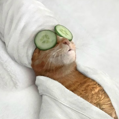 Елена Васильева, 30.05