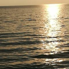 Алёна Устинова, 14.11.1983, Санкт-Петербург