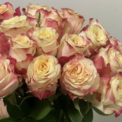 Верочка Сидорченко, 27.02, Киев