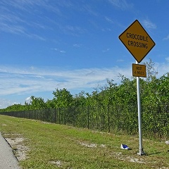 Димас Преображенский, 25.01, Санкт-Петербург