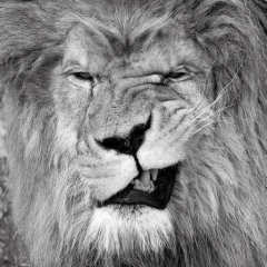 Дима Королев, 30.03.2001, Москва