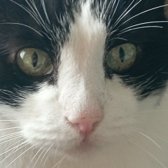 Алексей Комяков, 21.04.1989, Череповец