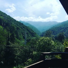 Иван Иванов, 01.01, Ташкент