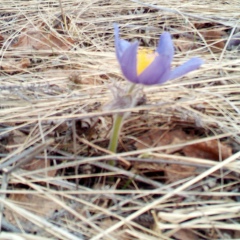 Алексей Костеркин, Магнитогорск