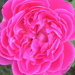 Динара Куралова, 08.07