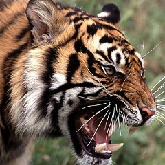 Иван Иванов, 24.06.1965, Красноярск