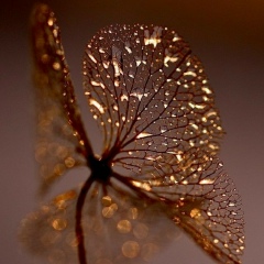 Larissa Tagyzova, 06.03