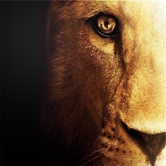 Кирилл Васильевич, 24.12, Los Angeles