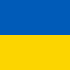 Леонид Медовнык, Киев