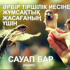 Mukhtar Kaskyrbaev, 31.08.1982, Шымкент