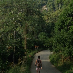 Александр Пастернак, 29.04.1991, Санкт-Петербург