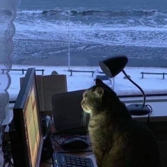 Peter Liahov, Санкт-Петербург