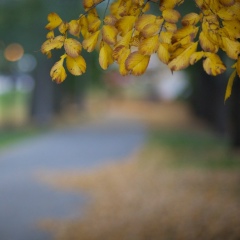 Владимир Ковальчук, 15.03, Киев