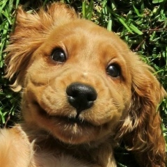 Елена Кокорина, 10.10, Чита