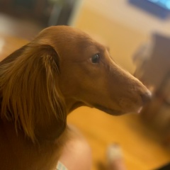 Анна Карпова, 24.12, Москва