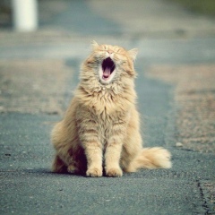 Олег Климов, 07.04, Курск