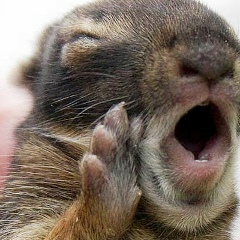 Мирас Нурманов