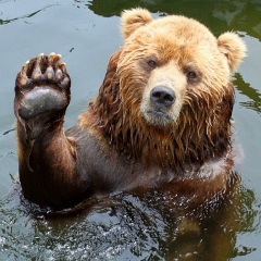 Антон Смирнов, 18.06, Москва