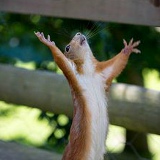 Асылбек Бекишев, 24.08.1988, Якутск