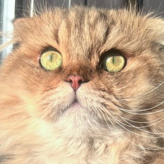 Беслан Джанарлиев, 11.09, Москва