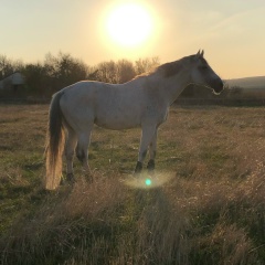 Оксана Каруна, 10.05, Луганск