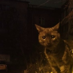 Александр Беляев, 17.11.1992, Самара