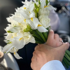 Regina Ibragimova, 27.08, Москва