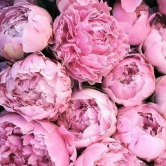 Diana Shashimova, 06.04.1994, Алматы