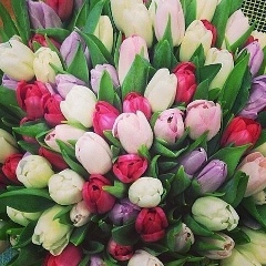 Жазира Абдикадыркызы, 20.08.1994, Алматы