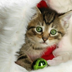 Наташа Кудашева, 24.03.1989, Москва