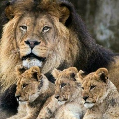 Илья Калинин, 12.04.1982, Москва