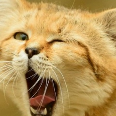 Тима Зуев, 30.11, Благовещенск