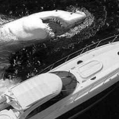 Ислам Махмудов, 09.07.1994, Бишкек