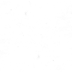 Данил Трапов, Москва