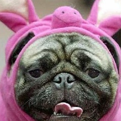 Игорь Ткачук, 14.09.1978, Киев