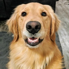 Марина Анашкина, 27.06